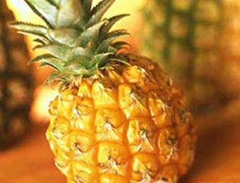 20080416050153420.jpg